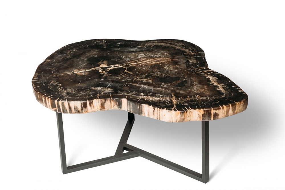 Стол из окаменелого дерева