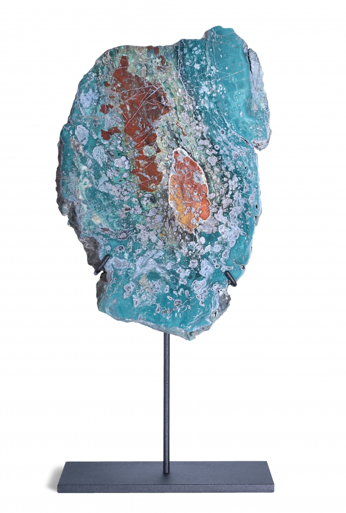 Окаменелое дерево