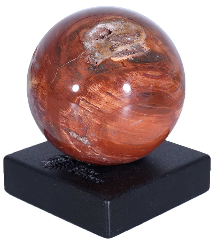 Шар из окаменелого дерева
