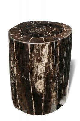Декоративный куб из окаменелого дерева