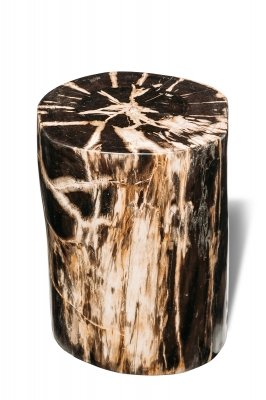 Декоративный куб из окаменелого дерева