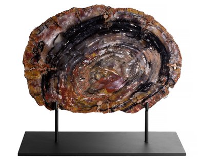 Окаменелое дерево