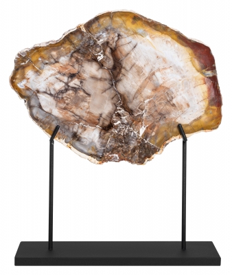 Окаменелое дерево