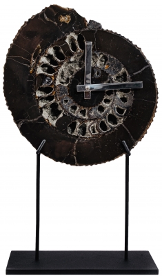 Часы из аммонита Speetoniceras versicolor