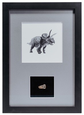 Панно с зубом трицератопса