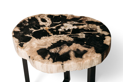 Кофейный столик из окаменелого дерева