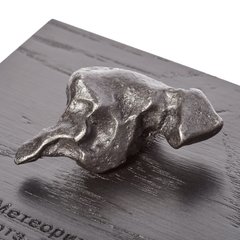 Метеорит Сихотэ-Алинь 10-13 г