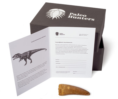 Зуб динозавра Carcharodontosaurus saharicus