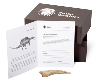 Коготь спинозавра