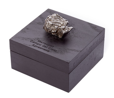 Метеорит Campo del Сielo 120,50 гр