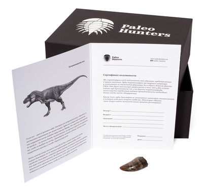 Зуб тираннозавра