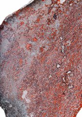 Спил кости динозавра