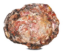 Окаменелое дерево 