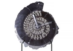 Часы из аммонита Speetoniceras Versicolor
