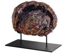 Окаменелое дерево