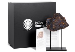Метеорит Сеймчан 131 г