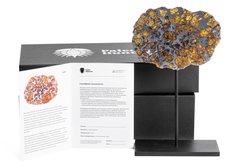 Метеорит Imilac 155 г
