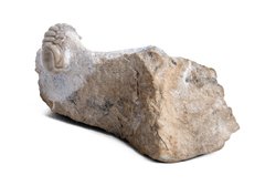 Трилобит Remopleurides elongatus