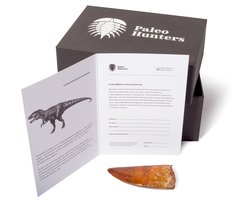 Зуб динозавра Carcharodontosaurus saharicus