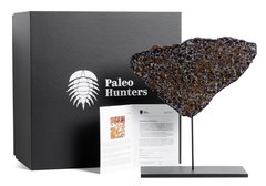 Метеорит Брагин 443 г