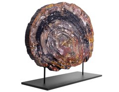 Окаменелое дерево