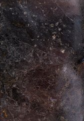 Метеорит Vaca Muerta 30 г