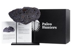 Метеорит Vaca Muerta 140 г