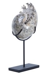 Аммонит Phylloceras sp.