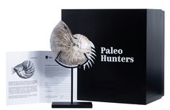 Наутилус Cymatoceras sp.