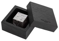Метеорит Aletai 316 г