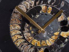 Часы из аммонита Speetoniceras versicolor 