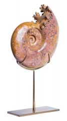 Аммонит Pachylytoceras dilucidum