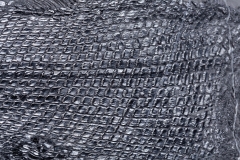 Рыба Asialepidotus shingyiensis и кейхозавры Keichousaurus hui