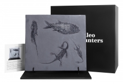 Рыба Asialepidotus shingyiensis и кейхозавры Keichousaurus hui