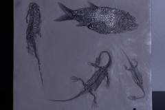 Рыба Asialepidotus shingyiensis и кейхозавры Keichousaurus hui