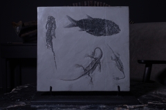 Рыба Asialepidotus shingyiensis и кейхозавры Keichousaurus hui