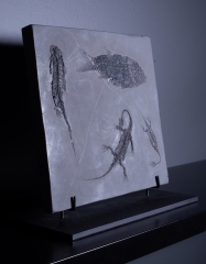 Рыба Asialepidotus shingyiensis и кейхозавры Keichousaurus hui