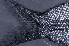 Рыба Asialepidotus shingyiensis и кейхозавры Keichousaurus hui