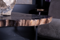 Стол из окаменелого дерева