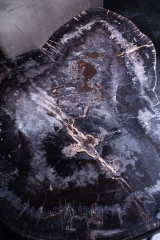 Стол из окаменелого дерева