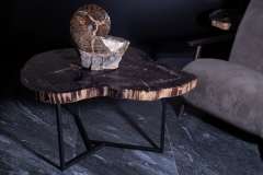 Стол из окаменелого дерева