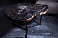 Стол из окаменелого дерева