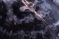 Стол из окаменелого дерева