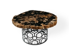 Стол из окаменелого дерева