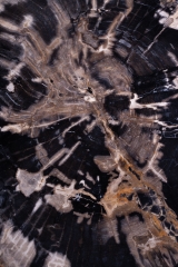 Стол из окаменелого дерева