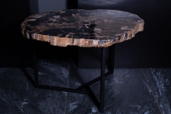 Стол из окаменелого дерева