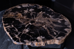 Стол из окаменелого дерева