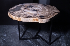 Стол из окаменелого дерева