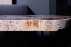 Стол из окаменелого дерева