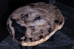 Стол из окаменелого дерева